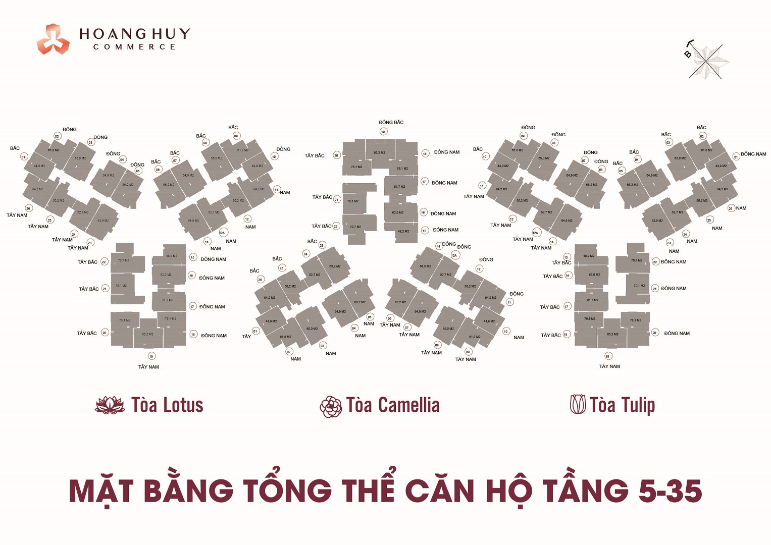 Mặt bằng tổng thể căn hộ Hoàng Huy Commerce Lotus Camellia Tulip